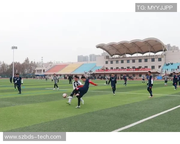 足球前几天的精彩瞬间回顾与分析让我们重新感受比赛的热情与激情